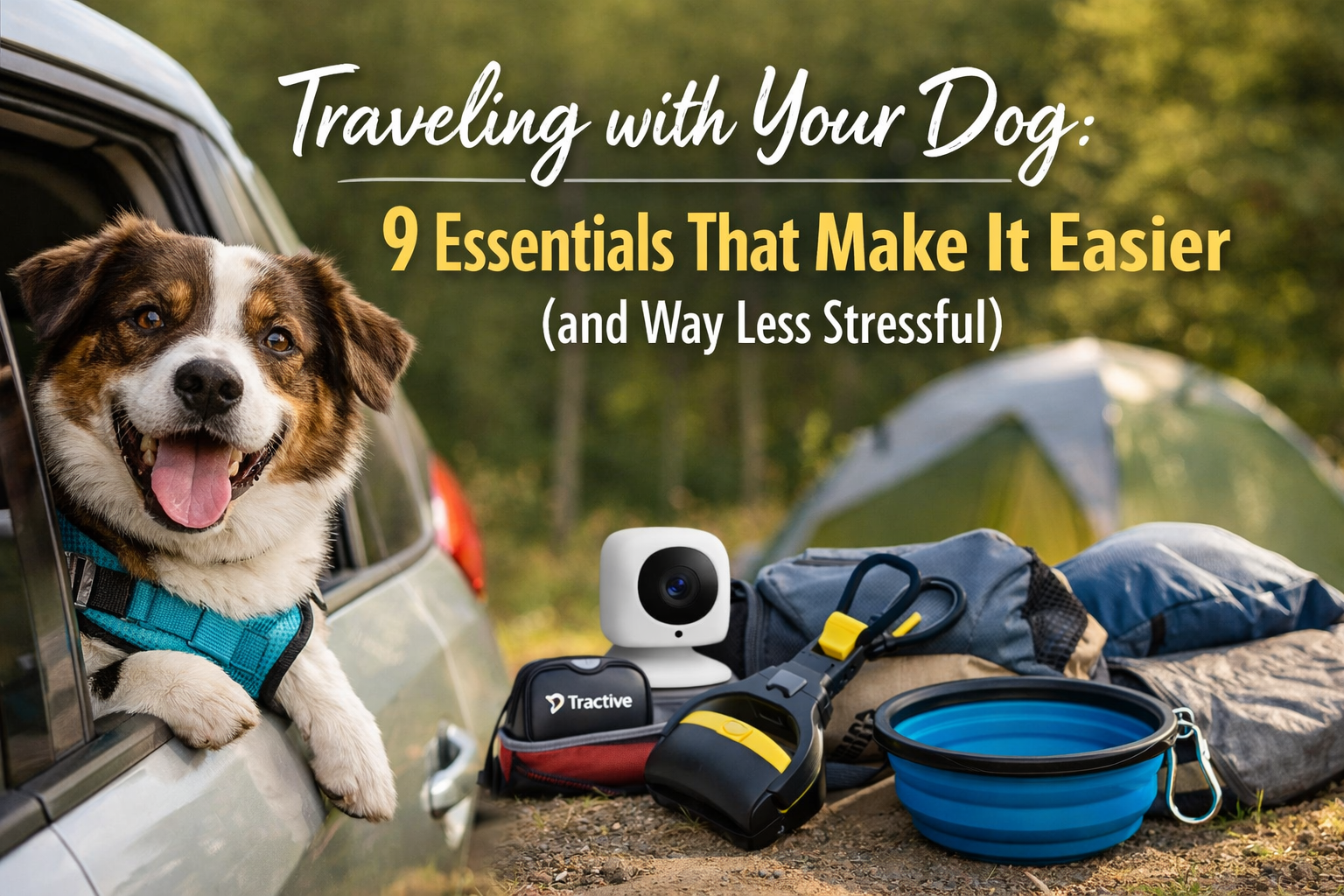 Traveling with Your Dog: 9 Essentials That Make It Easier (and Way Less Stressful)